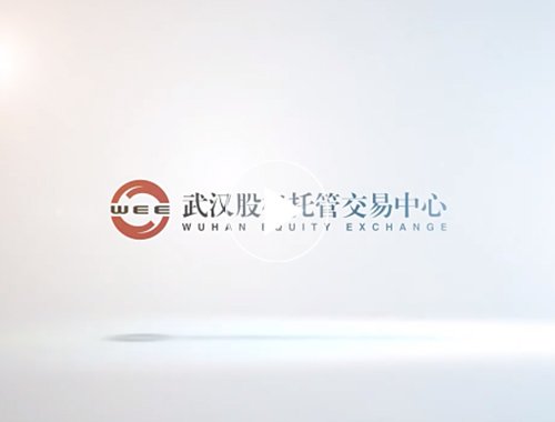 武汉股权托管交易中心宣传片
